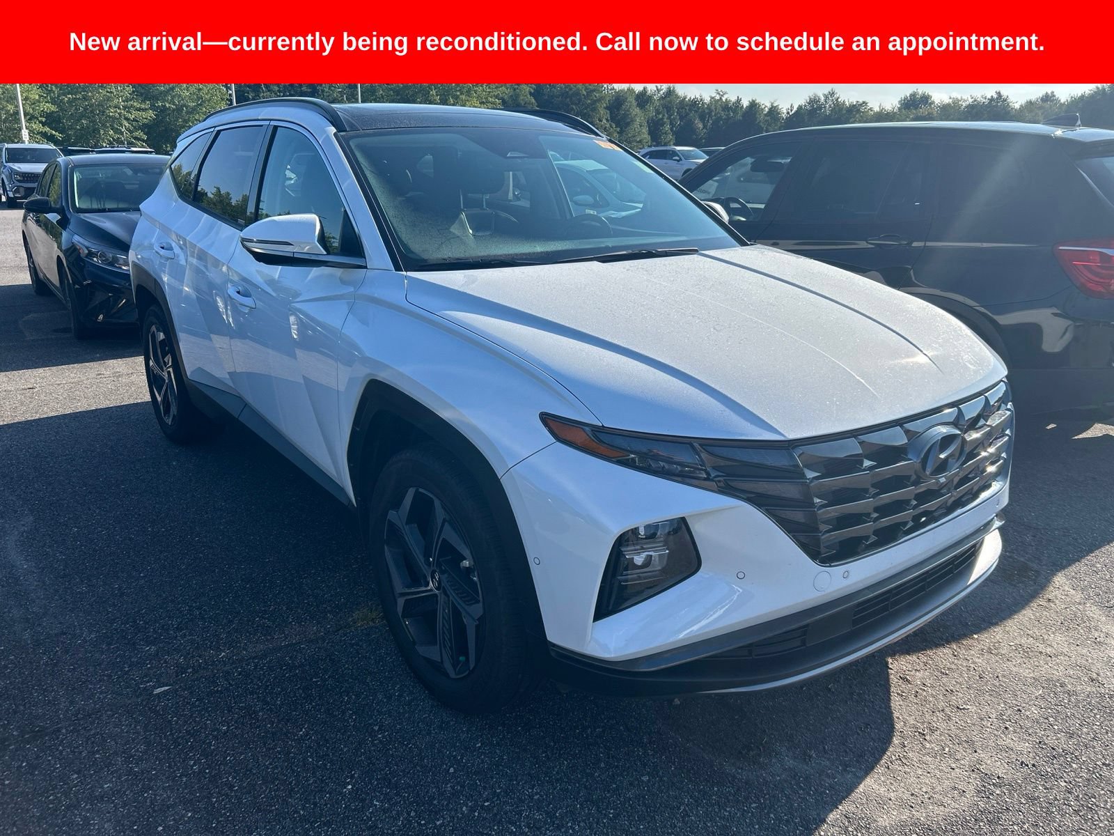 Used 2024 Hyundai Tucson Limited AWD/4WD image 2