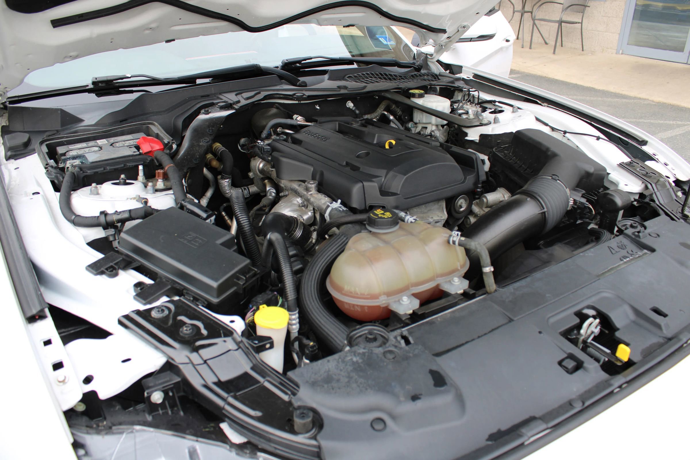 Used 2019 Ford Mustang Premium image 37