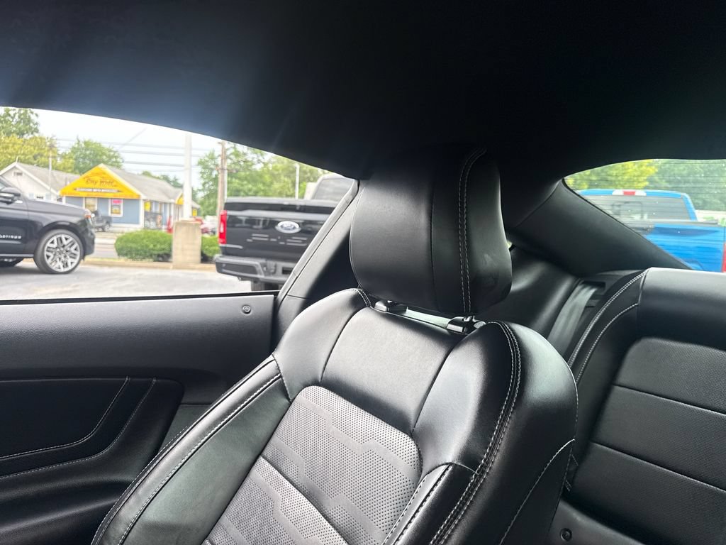 Used 2019 Ford Mustang Premium w/ Equipment Group 201A RWD image 33