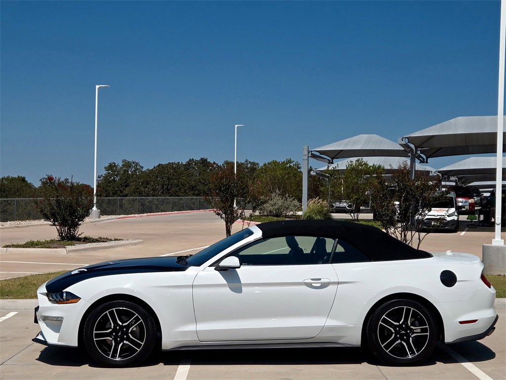 Used 2022 Ford Mustang Premium image 4