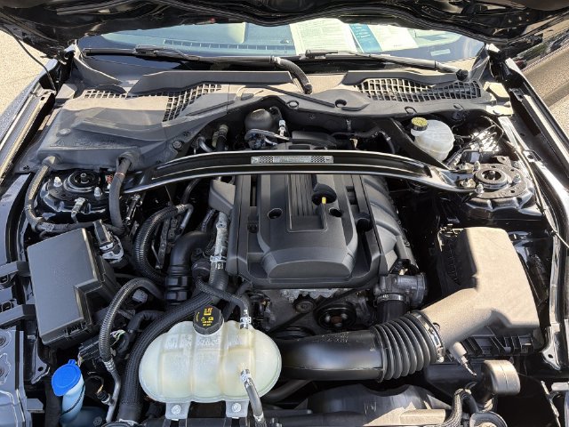 Used 2022 Ford Mustang Premium w/ 2.3L High Performance Package RWD image 29