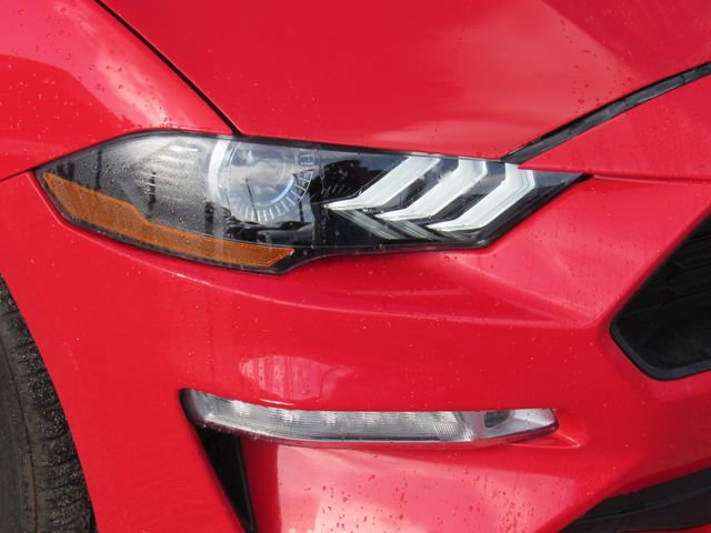Used 2021 Ford Mustang Premium image 8