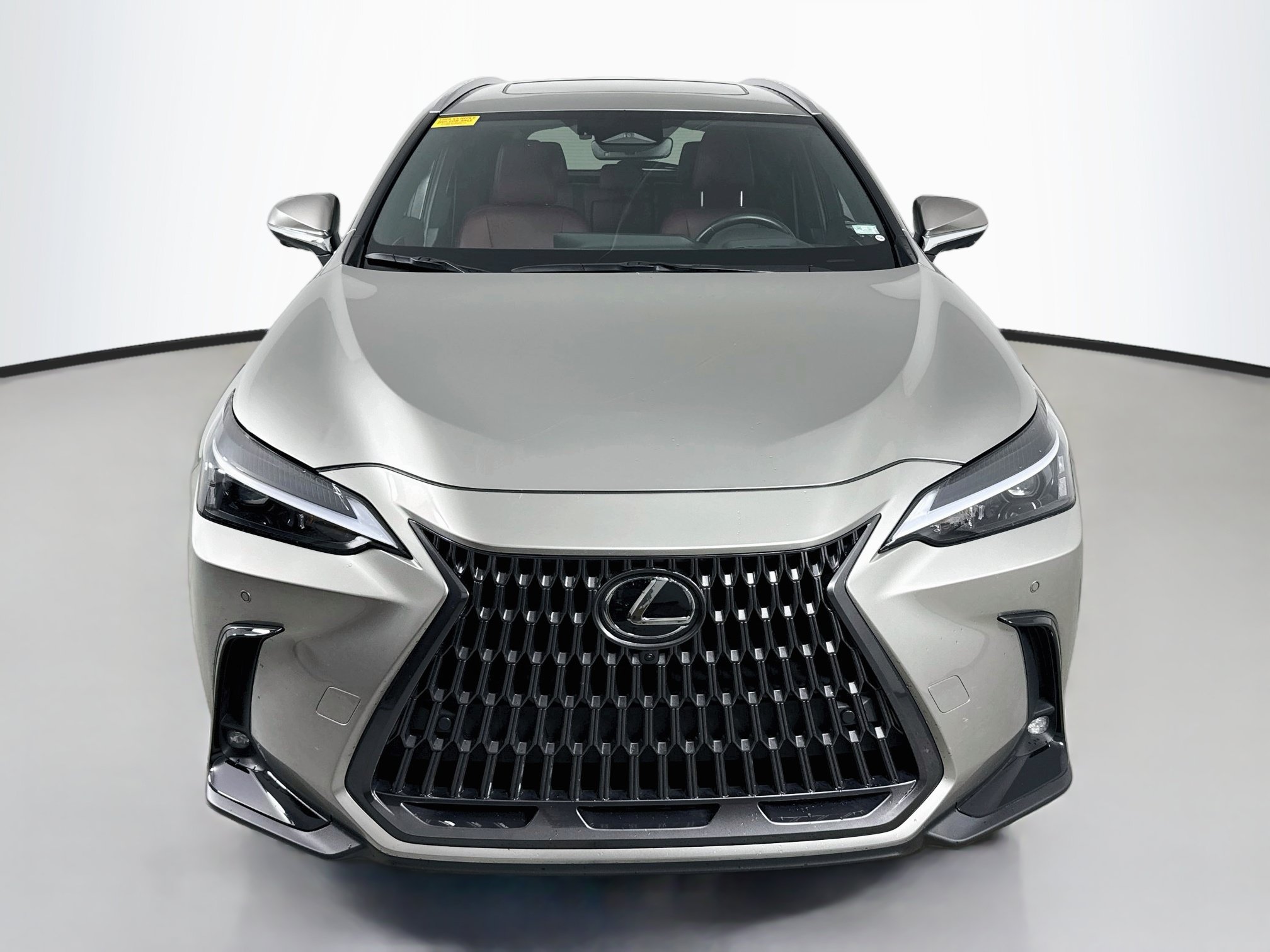 Certified 2025 Lexus NX 350 AWD w/ Cold Area Package image 3
