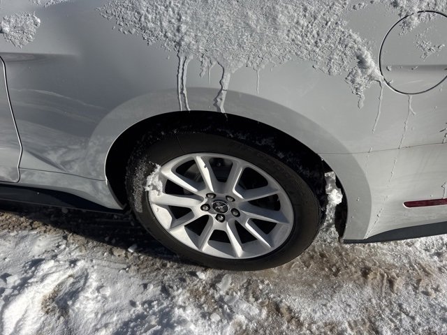 Used 2018 Ford Mustang Premium w/ Wheel & Stripe Package image 5