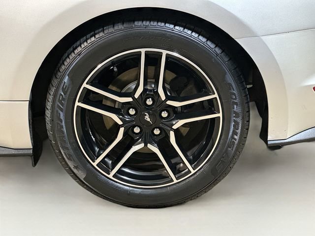 Used 2019 Ford Mustang Premium image 6