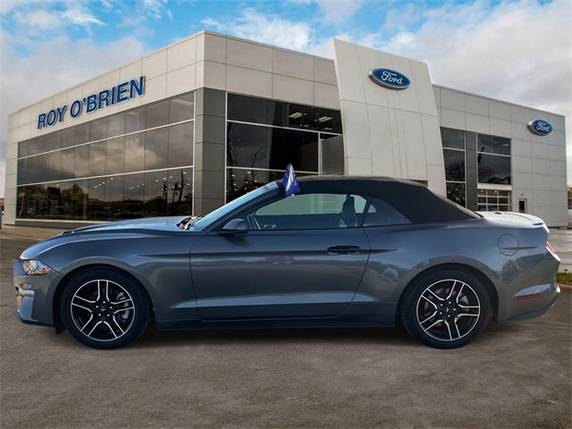 Certified 2022 Ford Mustang Premium image 2