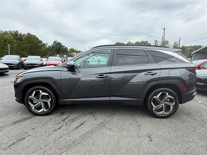 Used 2024 Hyundai Tucson SEL w/ Convenience Package AWD/4WD image 2