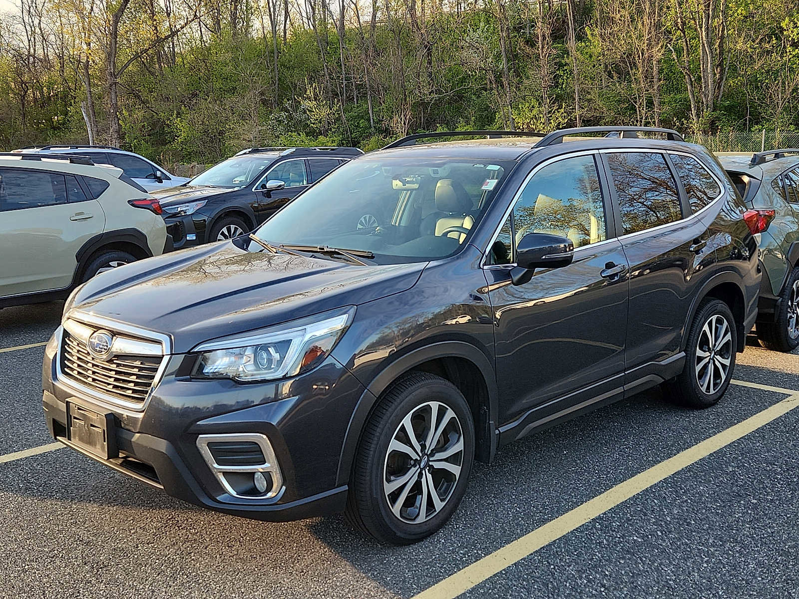 Used 2019 Subaru Forester Limited image 3