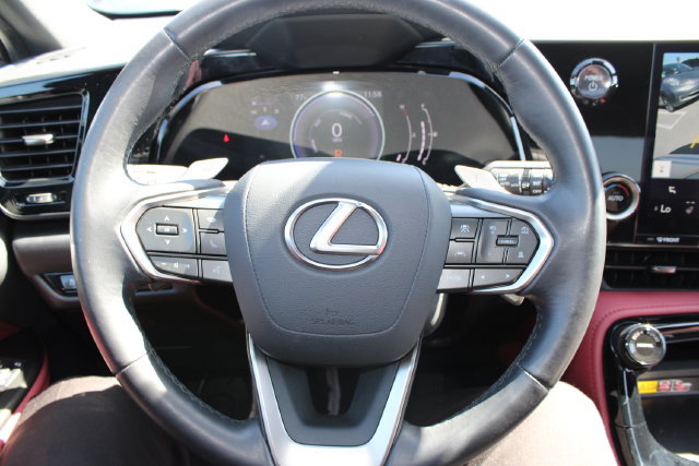 Certified 2025 Lexus NX 350h AWD w/ Cold Area Package image 15
