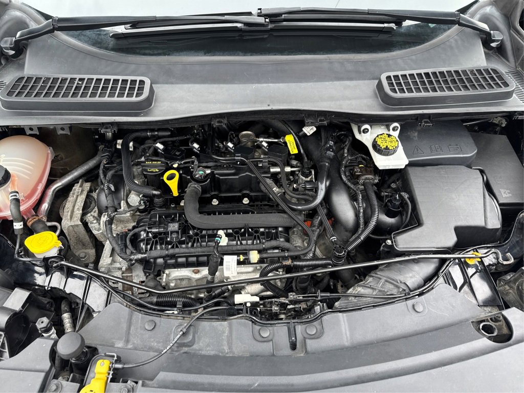 Used 2017 Ford Escape SE w/ SE Cold Weather Package image 16