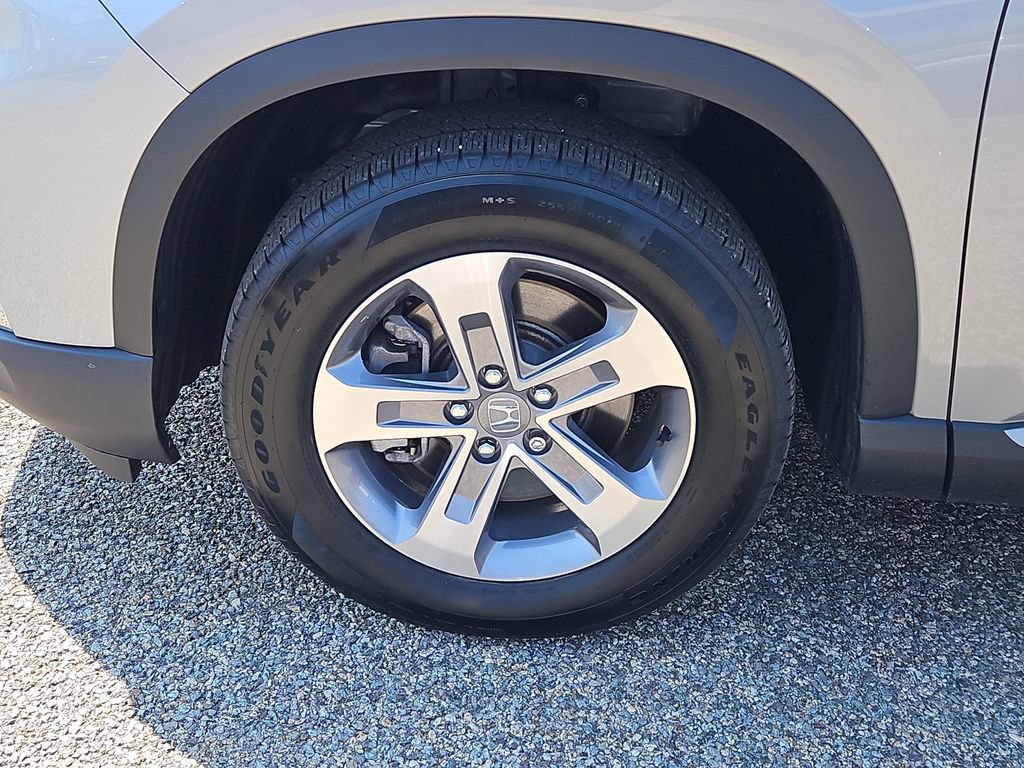 Certified 2025 Honda Pilot EX-L image 7