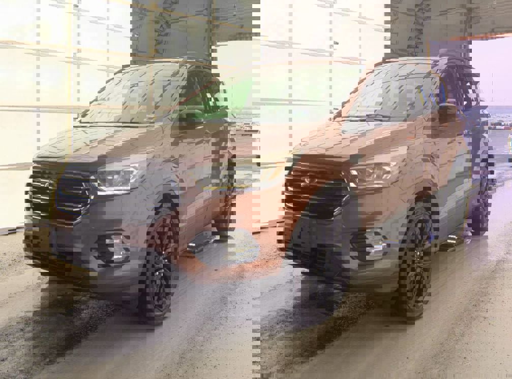 Used 2017 Ford Escape SE w/ Equipment Group 201A image 2