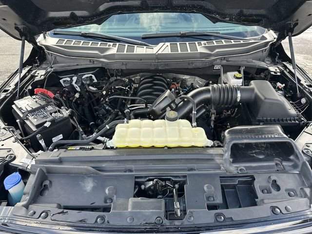 Used 2025 Ford F150 XLT w/ Equipment Group 301A Standard image 19