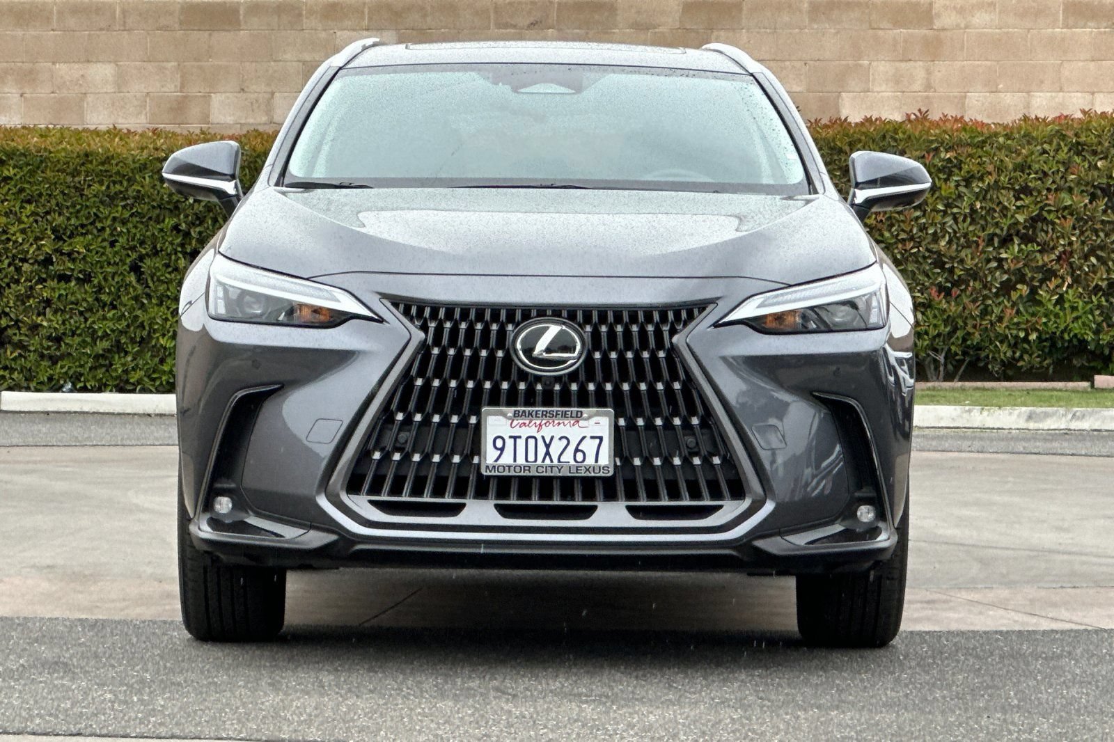 Certified 2025 Lexus NX 350h AWD w/ Cold Area Package image 10