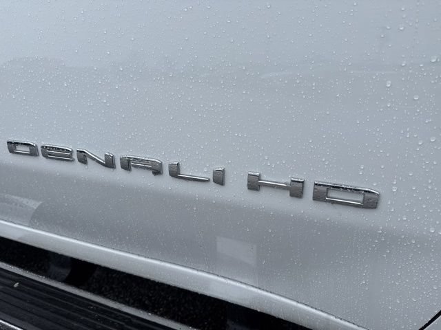 Certified 2021 GMC Sierra 3500 Denali w/ Denali Ultimate Package AWD/4WD image 11