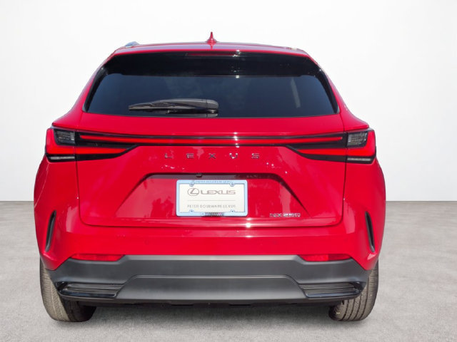 Used 2024 Lexus NX 250 FWD image 4