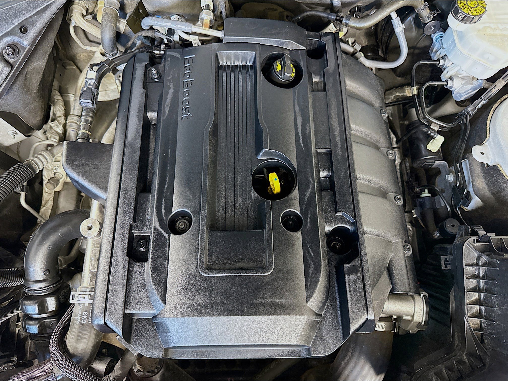 Used 2019 Ford Mustang Coupe image 37