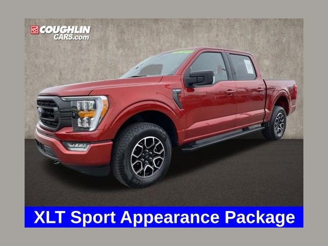 Used 2023 Ford F150 XLT w/ Equipment Group 302A High 360° Tour