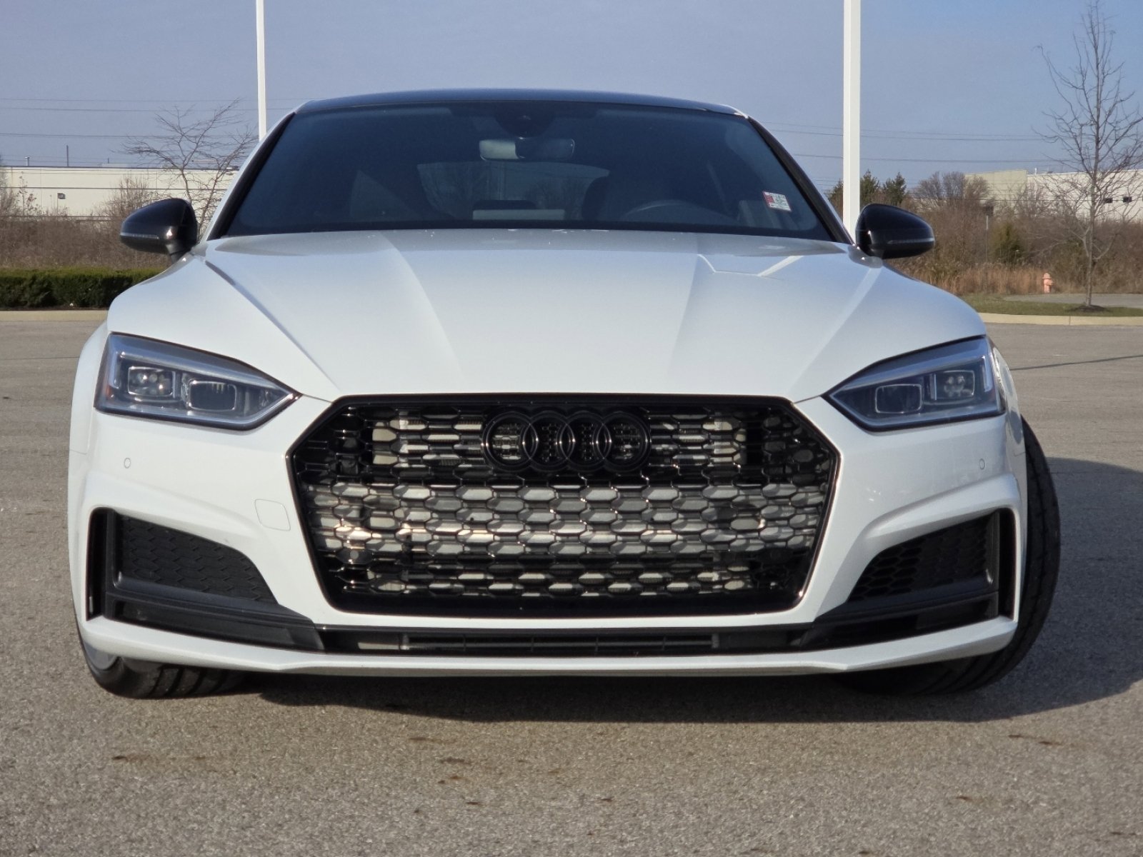 Used 2019 Audi S5 Premium Plus w/ Premium Plus image 14