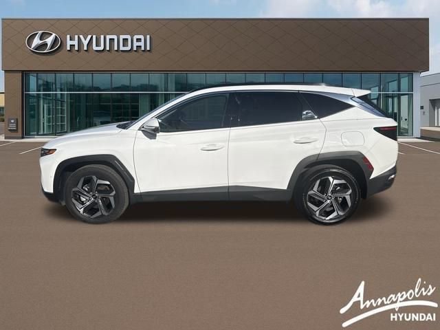 Used 2023 Hyundai Tucson Limited image 2