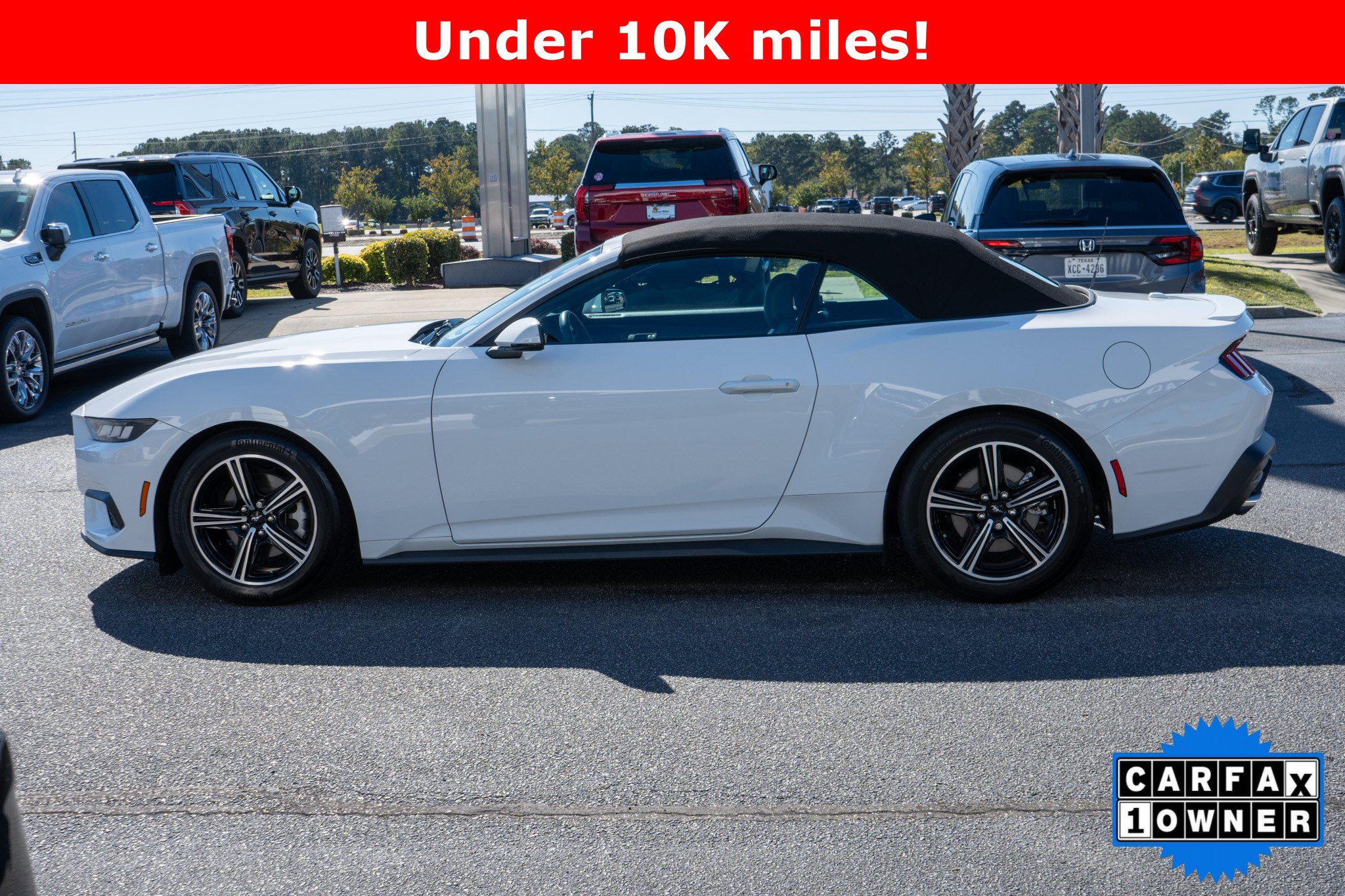 Used 2024 Ford Mustang Premium RWD image 6