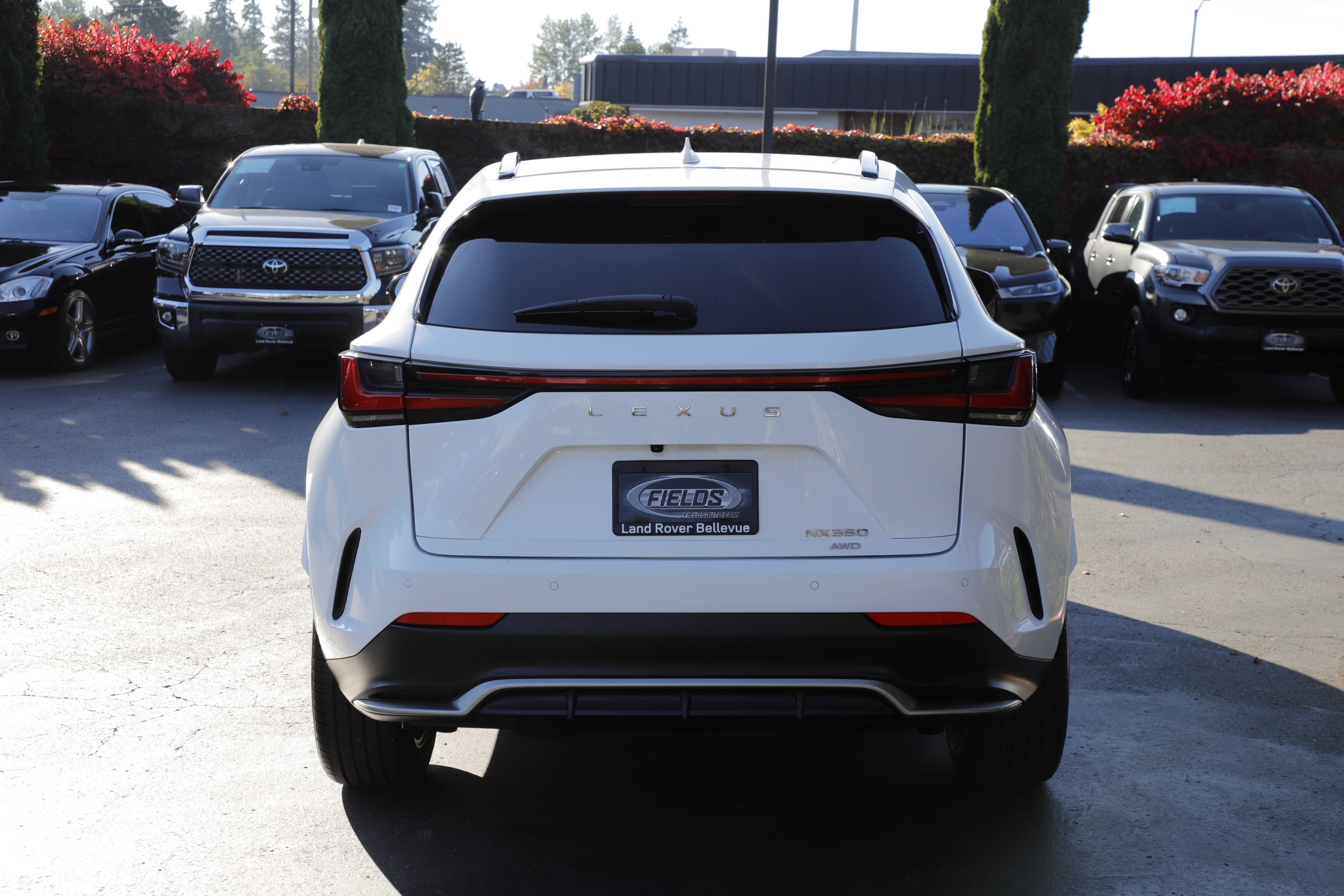 Used 2025 Lexus NX 350 F Sport w/ Accessory Package (2T) AWD/4WD image 9