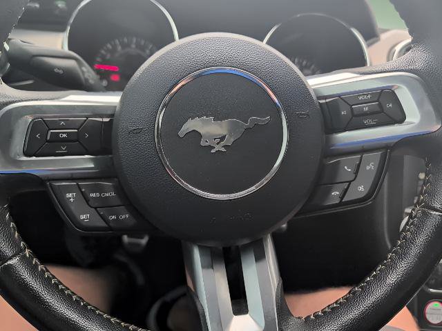 Used 2015 Ford Mustang GT Premium w/ 50 Years Appearance Package RWD image 11