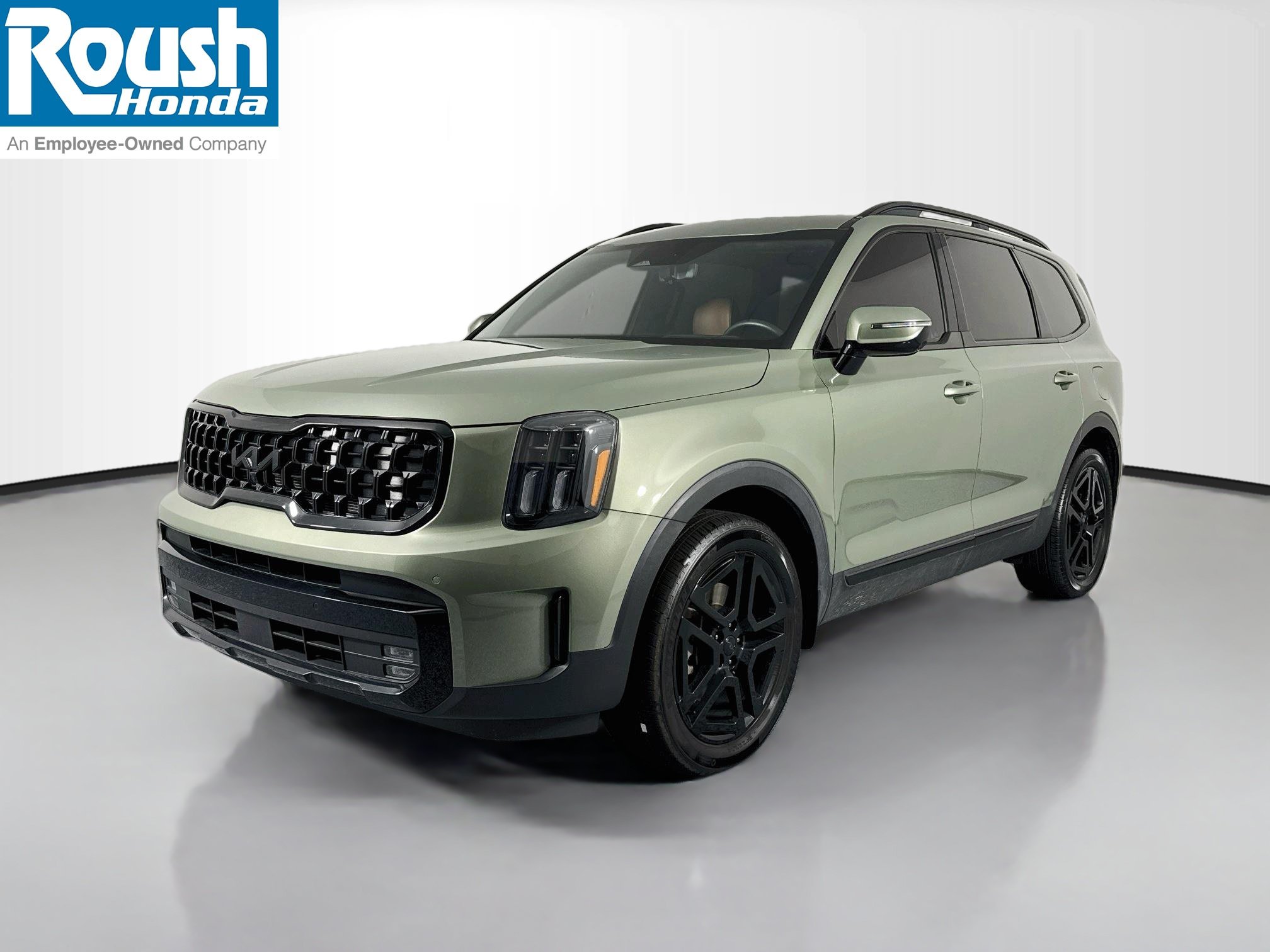 Used 2025 Kia Telluride SX Prestige X-Line AWD/4WD image 1