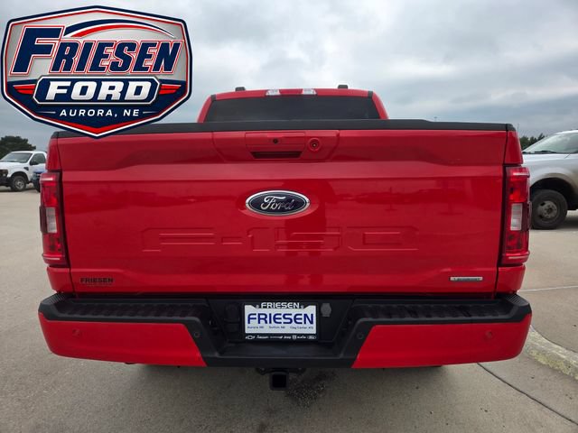 Used 2023 Ford F150 XLT w/ Equipment Group 302A High AWD/4WD image 6