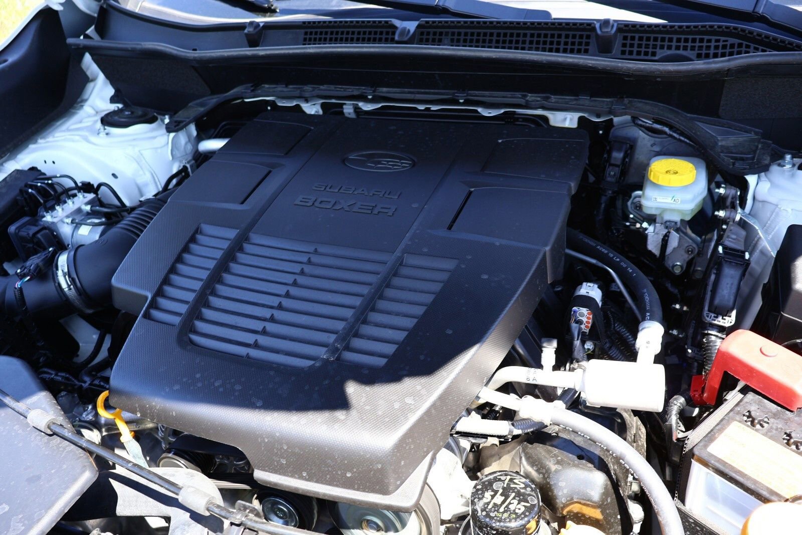 Used 2024 Subaru Forester Wilderness w/ Convenience Package image 34