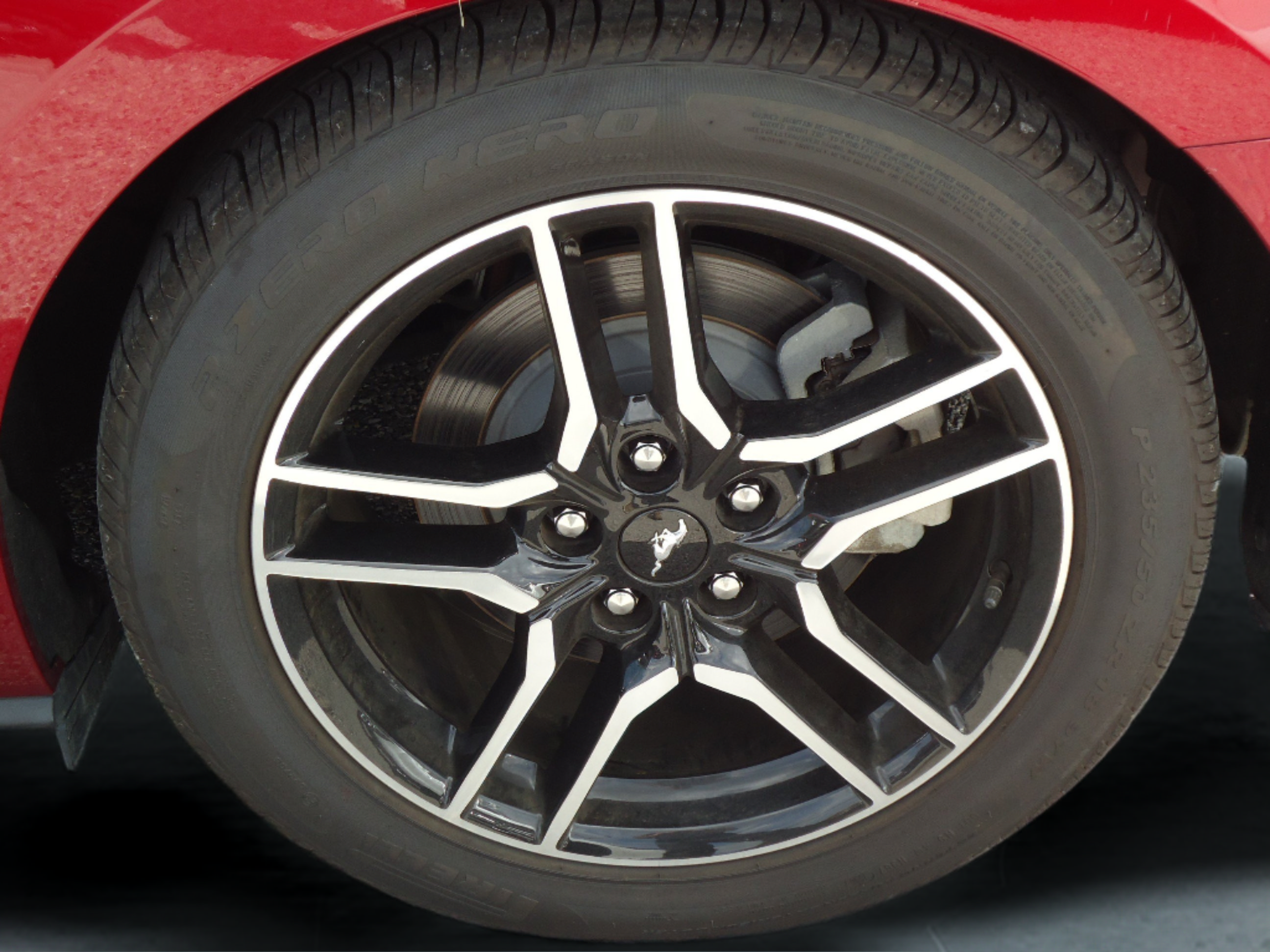 Used 2019 Ford Mustang Premium w/ Equipment Group 201A RWD image 18