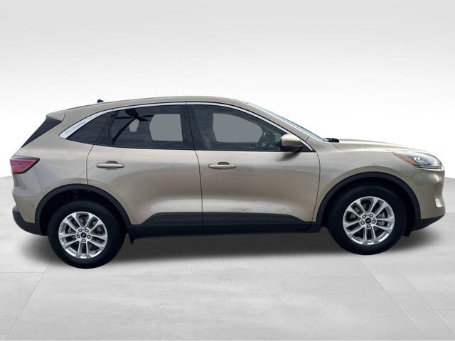 Used 2021 Ford Escape SE w/ Convenience Package FWD image 6