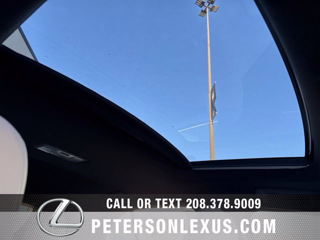 New 2026 Lexus UX 300h AWD w/ Cold Area Package image 13