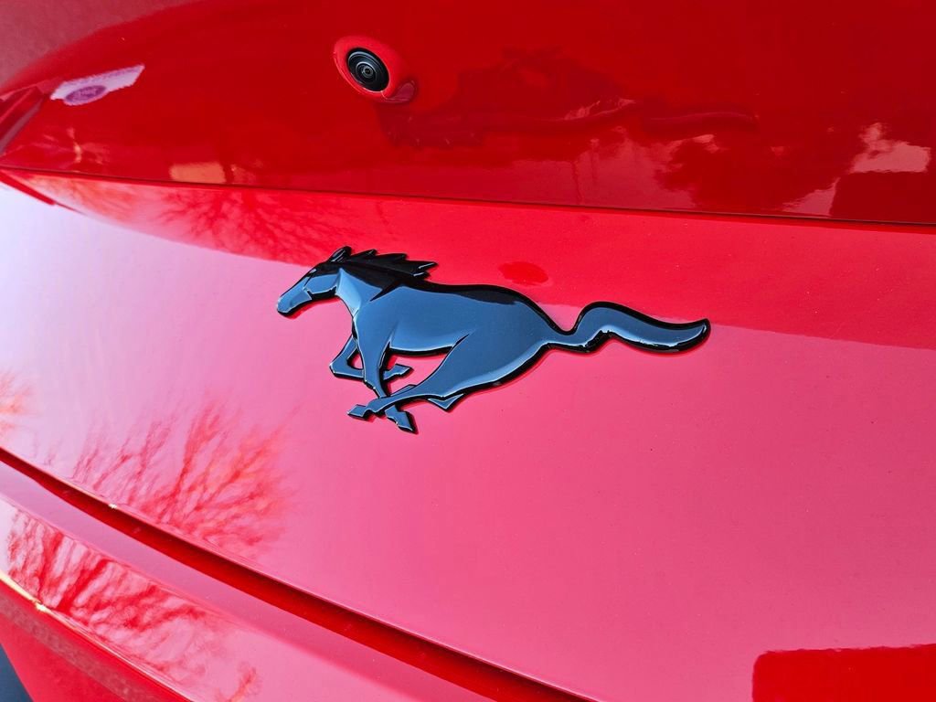 New 2026 Ford Mustang Coupe w/ Mustang Nite Pony Package image 28