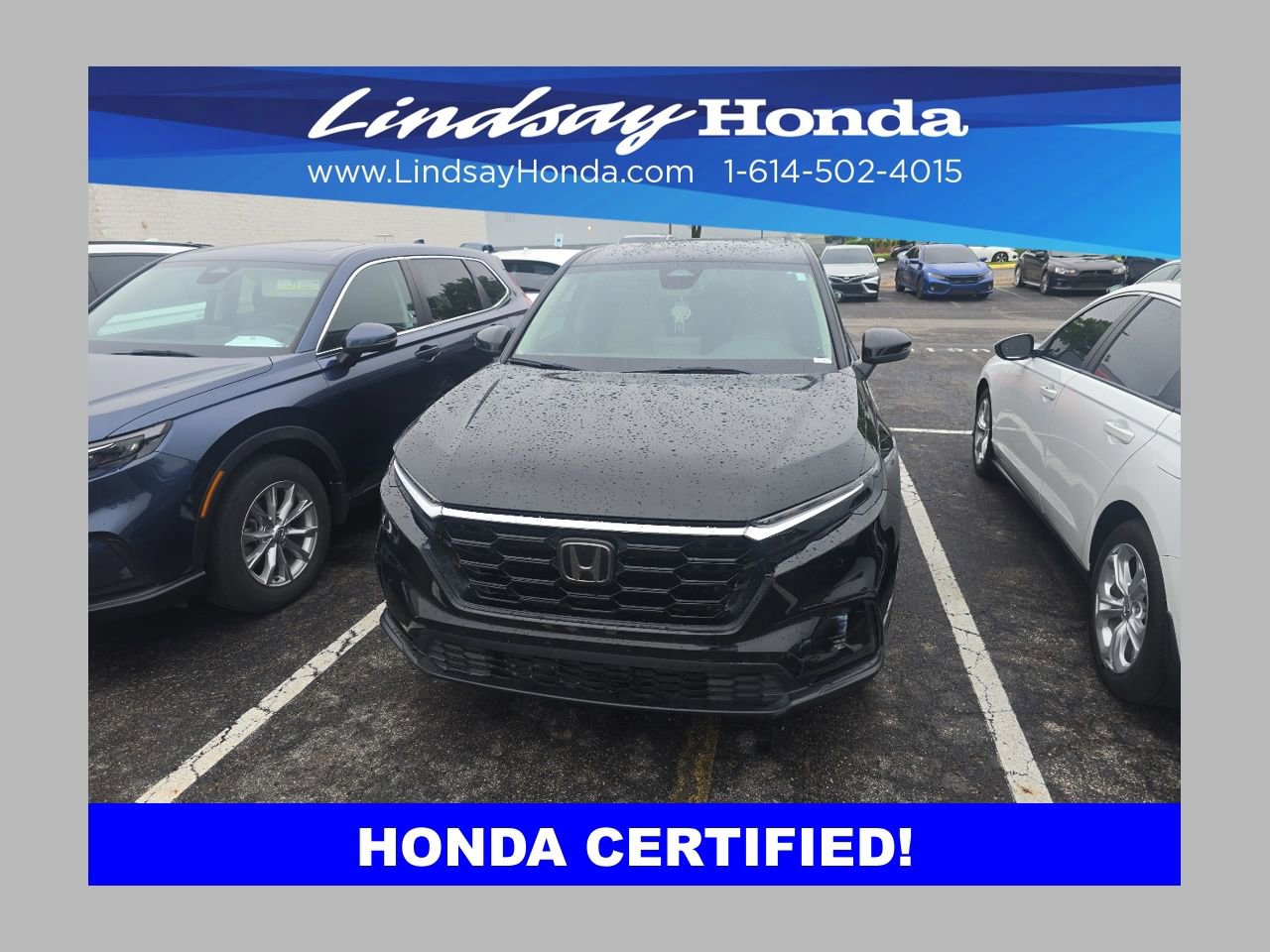 Certified 2023 Honda CR-V EX image 1