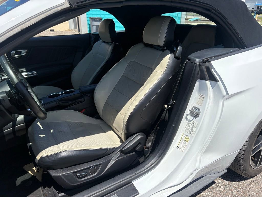 Used 2019 Ford Mustang Premium RWD image 9