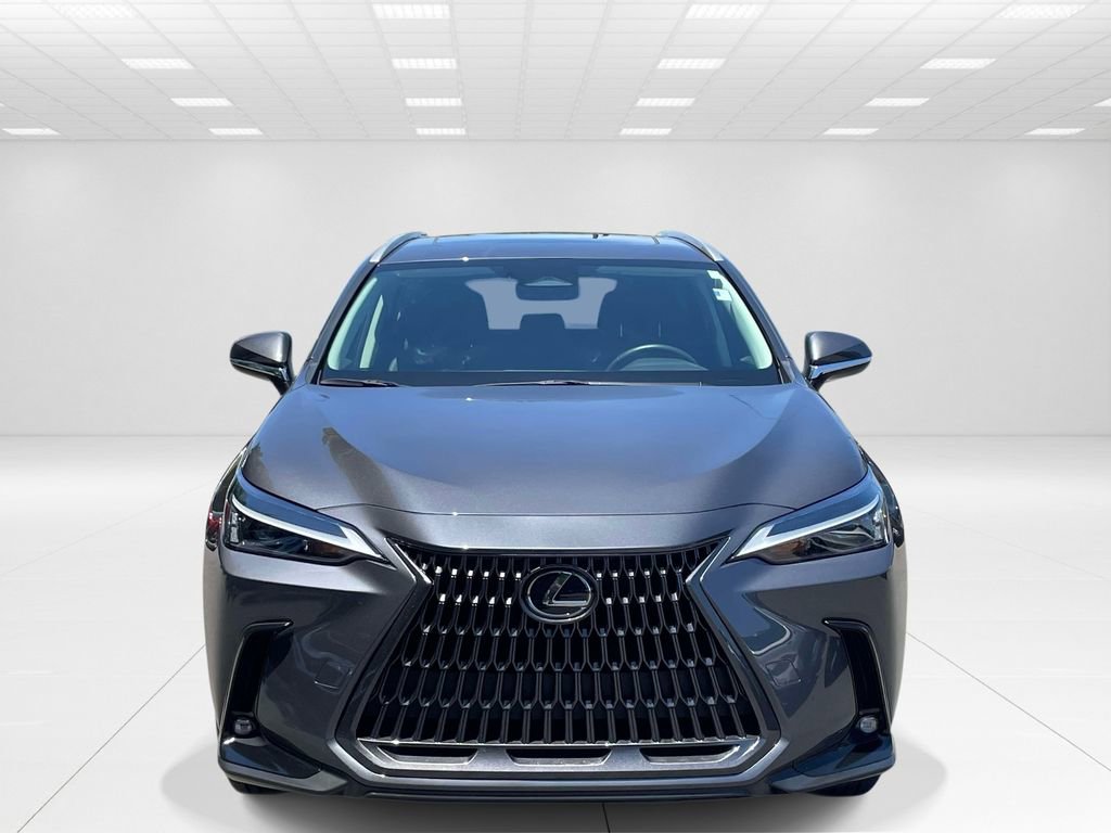 Used 2024 Lexus NX 350 AWD w/ Cold Area Package image 2