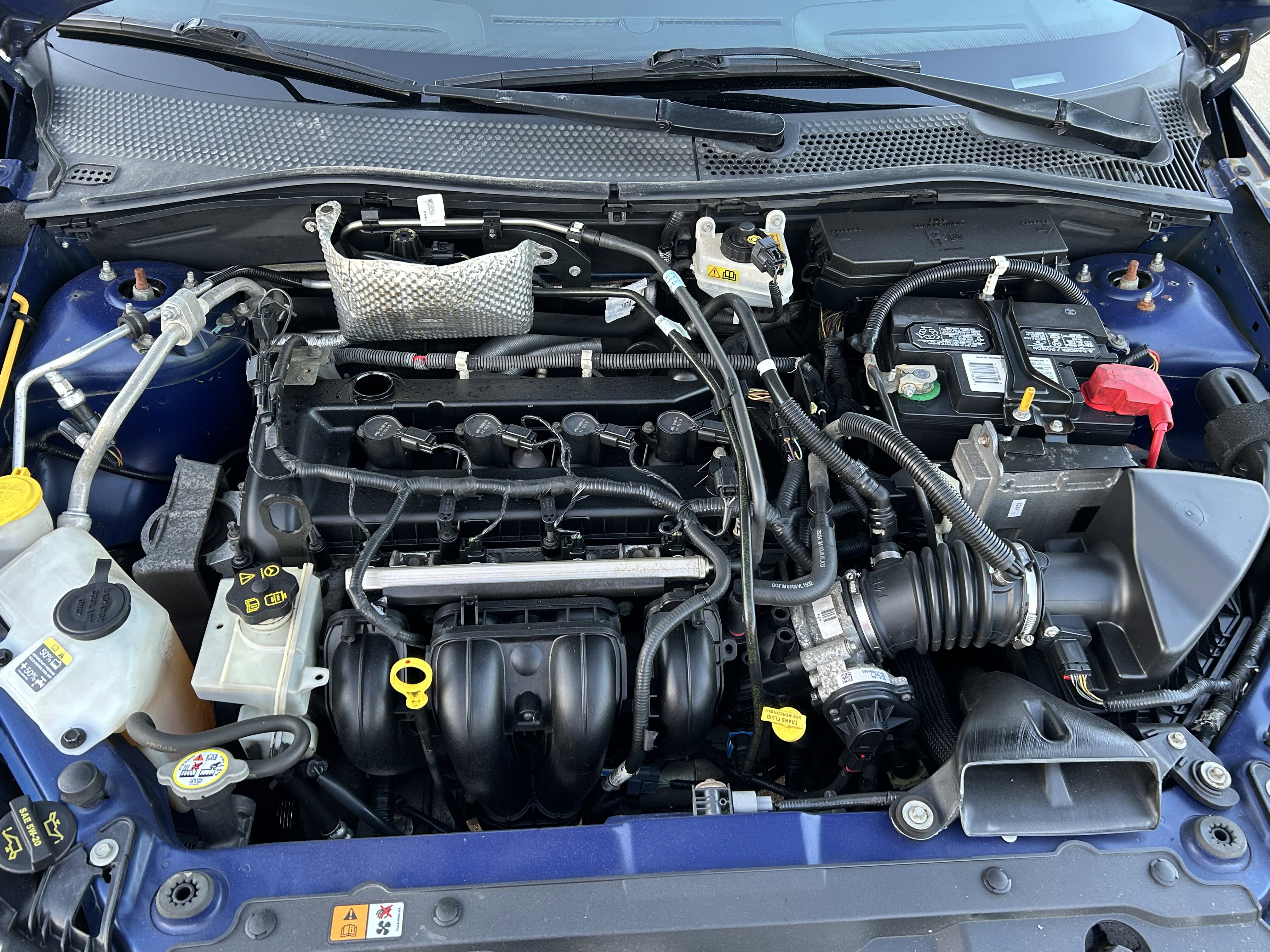 Used 2009 Ford Focus SES image 13