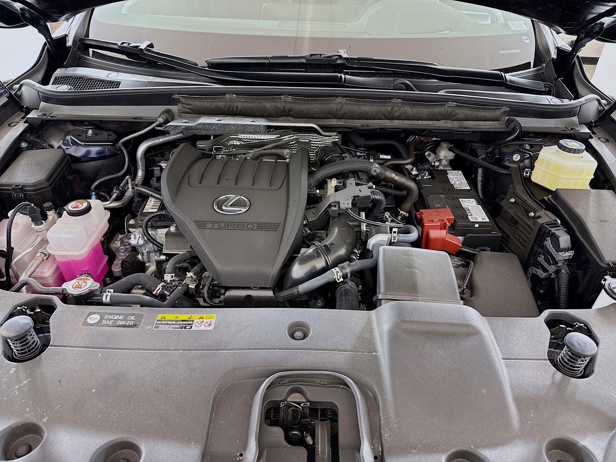 Certified 2025 Lexus RX 350 Premium Plus w/ Convenience Package image 28