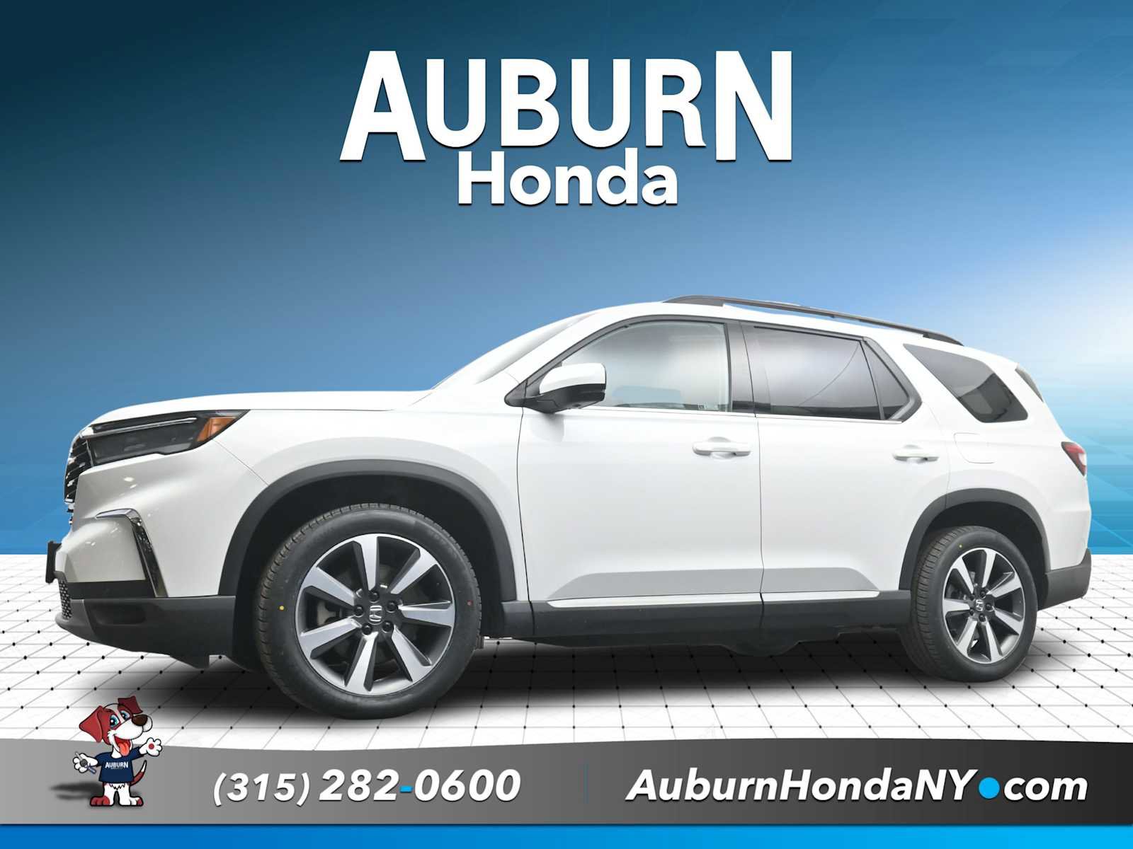 Used 2023 Honda Pilot Elite image 1