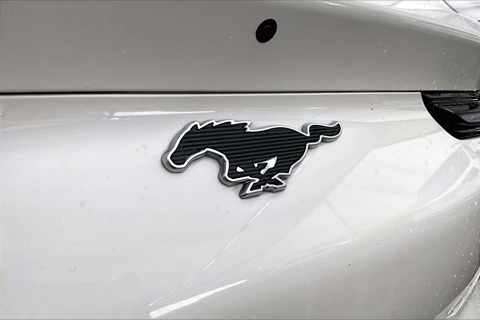 Used 2023 Ford Mustang Mach-E California Route 1 AWD/4WD image 29