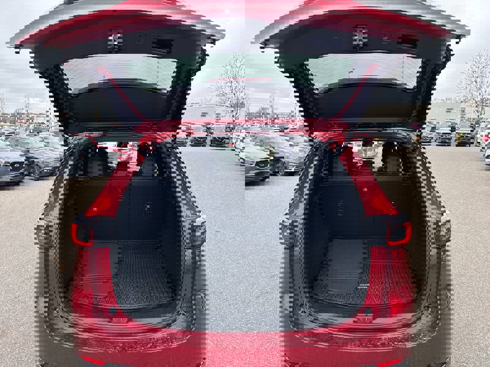 Used 2024 MAZDA CX-5 2.5 Turbo w/ Premium Package image 23