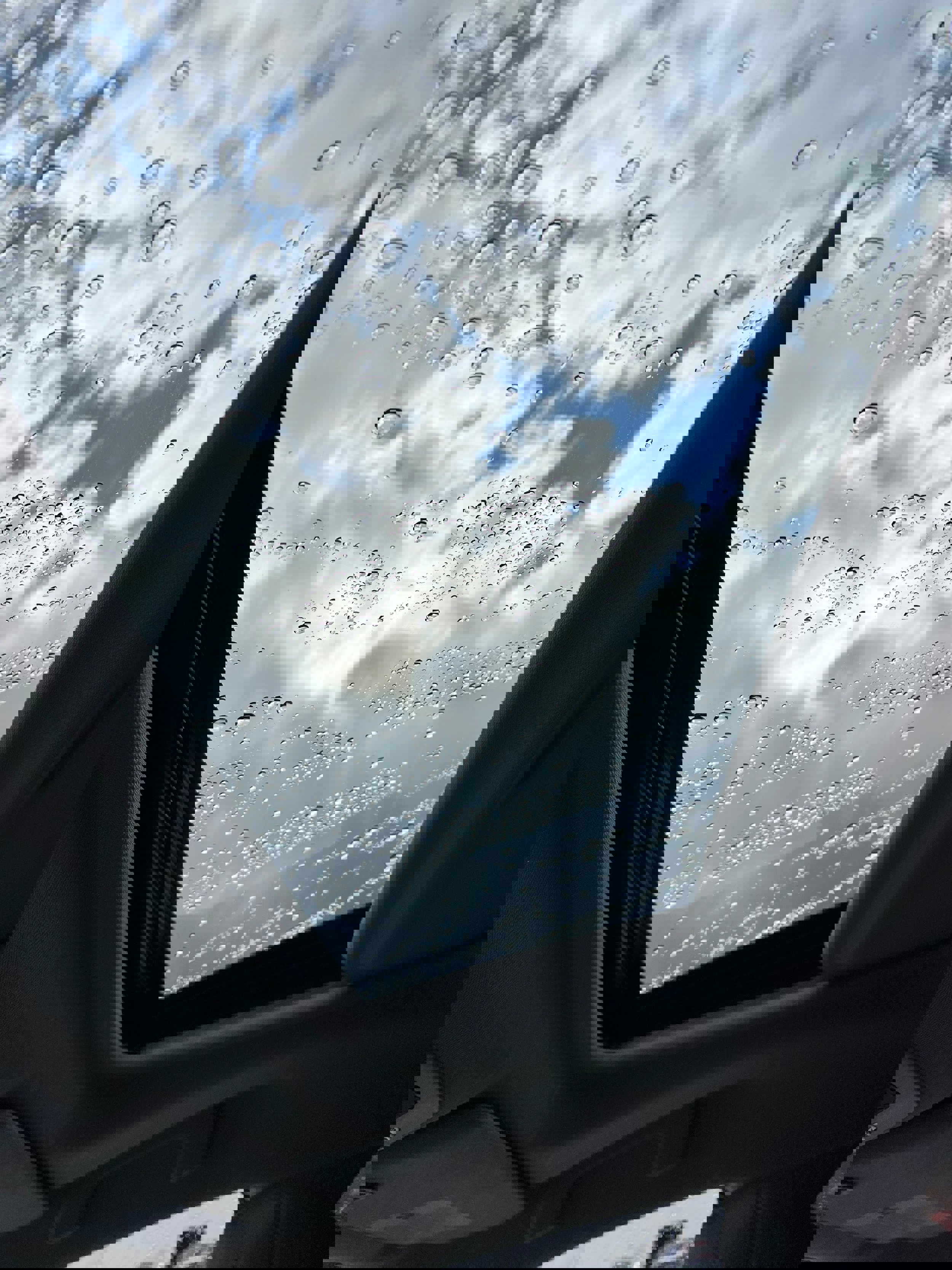 Certified 2022 Toyota Sienna Limited image 10