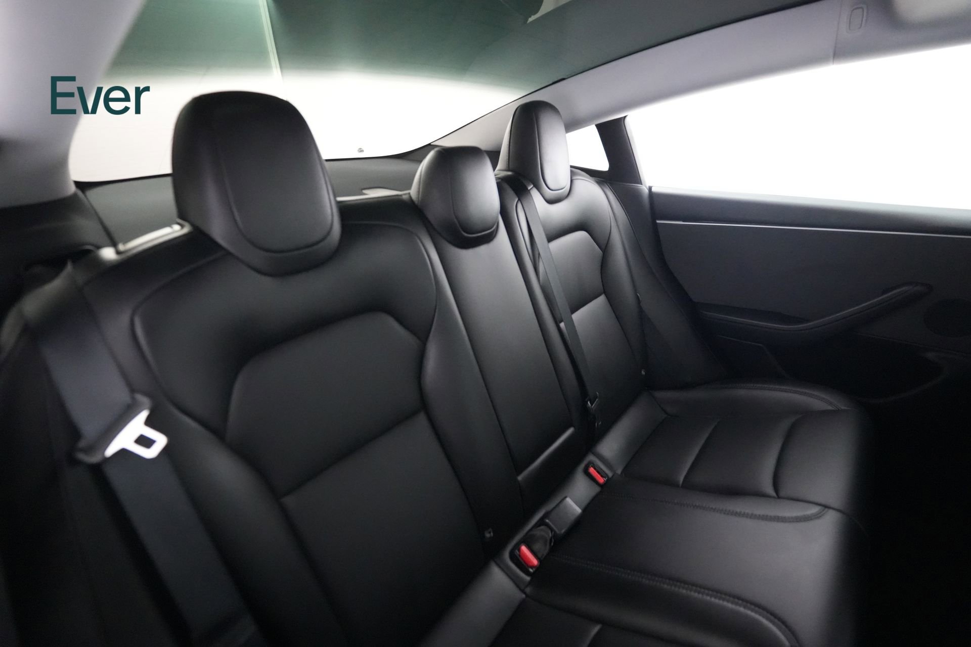 Used 2024 Tesla Model 3 Standard Range RWD image 5