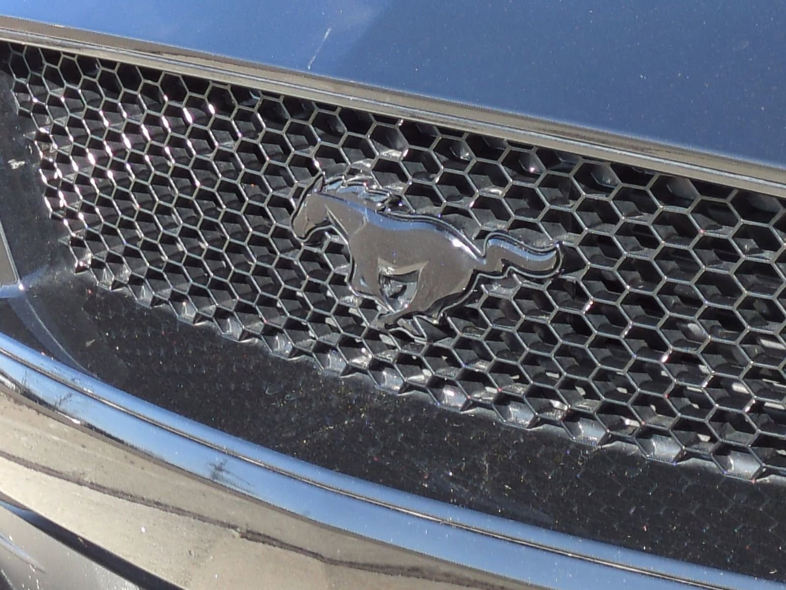 Certified 2023 Ford Mustang GT Premium w/ Equipment Group 401A image 14