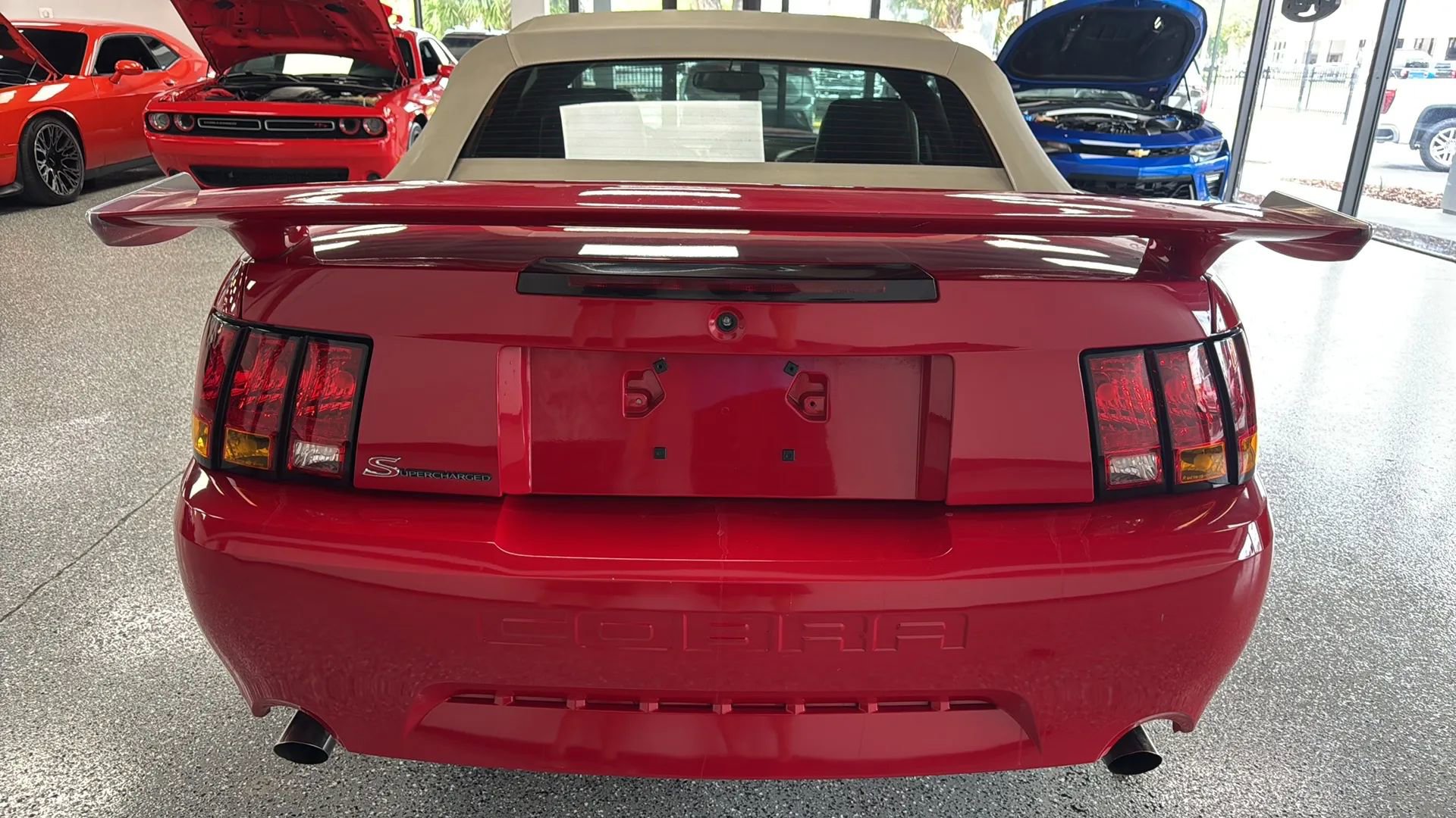 Used 1999 Ford Mustang Cobra RWD image 4