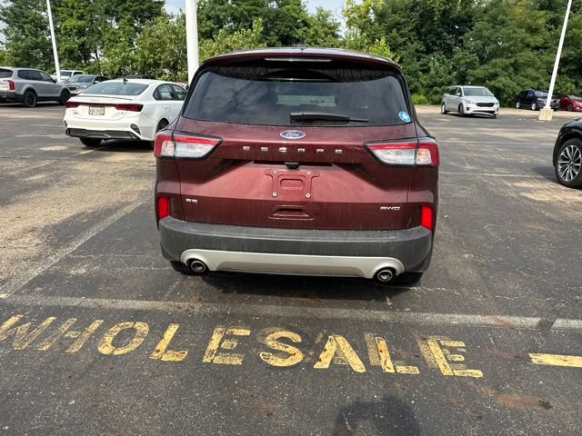 Used 2021 Ford Escape SE w/ Convenience Package AWD/4WD image 5