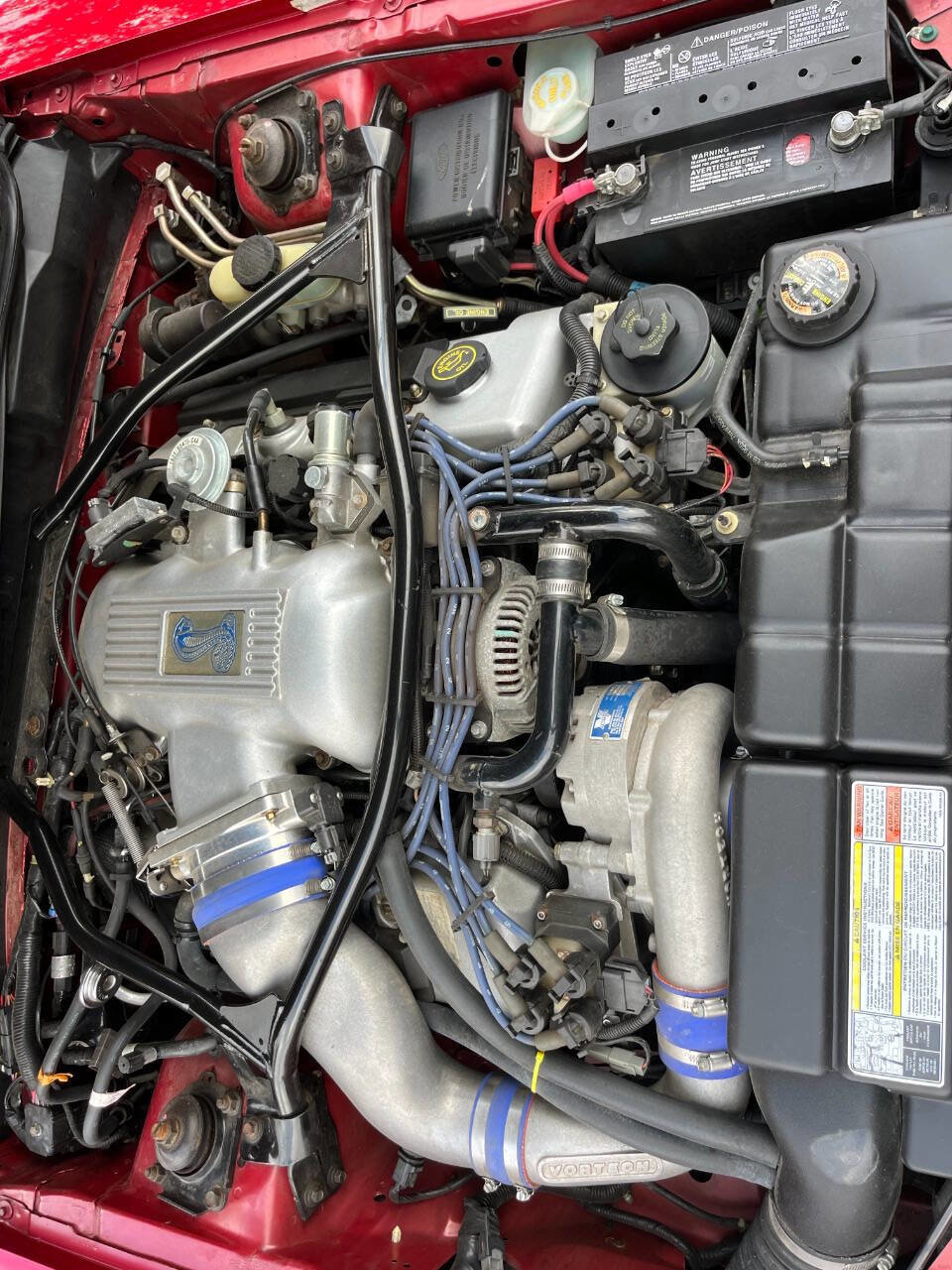 Used 1996 Ford Mustang Cobra image 3