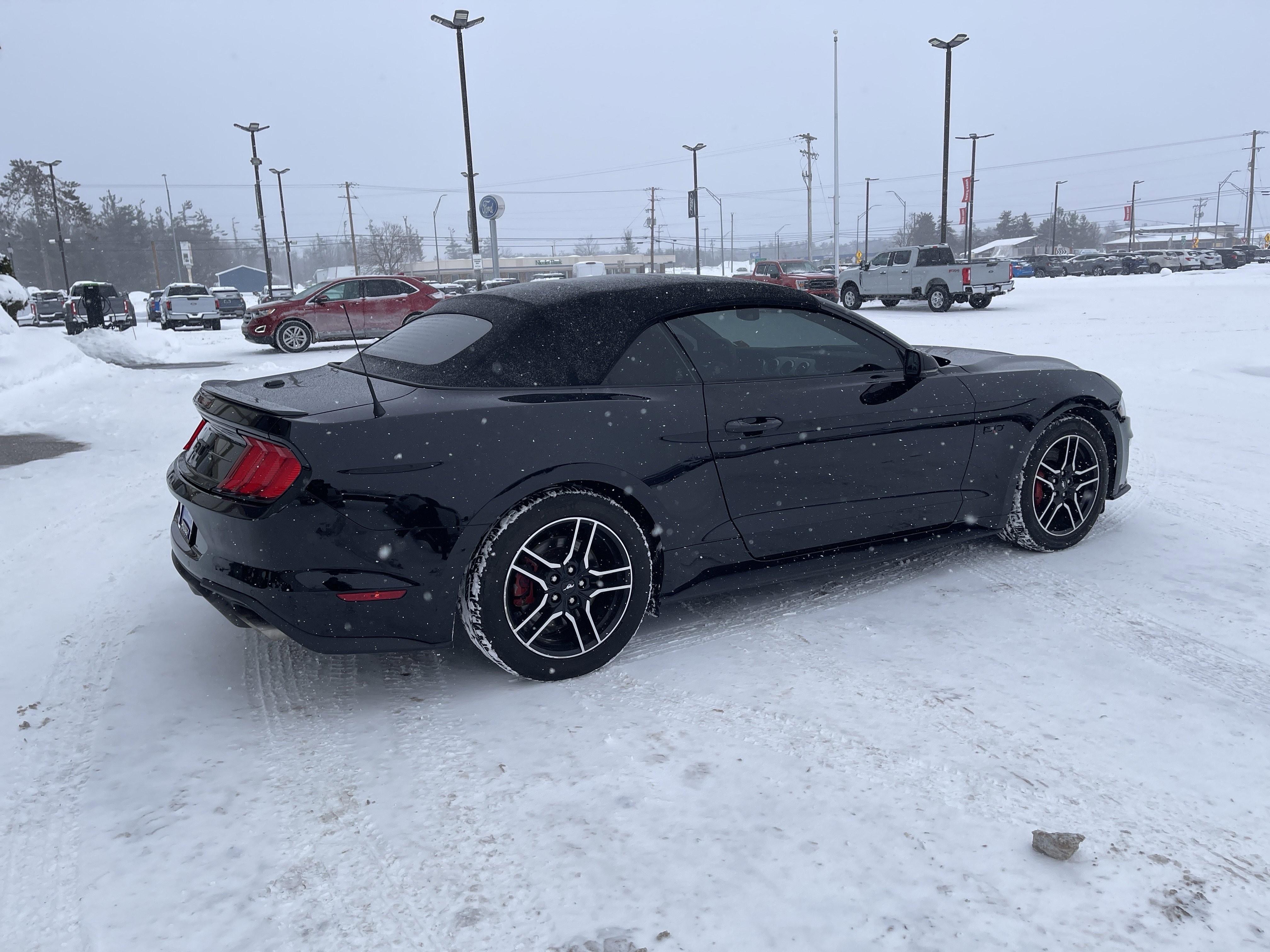Certified 2020 Ford Mustang GT Premium image 3
