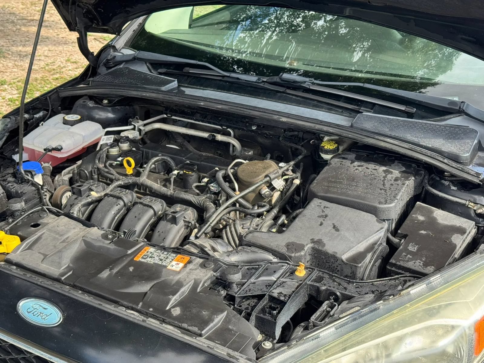 Used 2016 Ford Focus S FWD image 13
